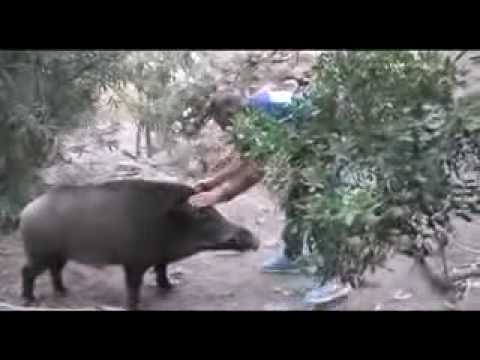 Ajò Generation al Calamoresca