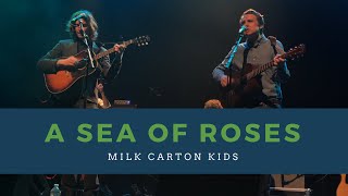 A Sea of Roses (LIVE) - Milk Carton Kids