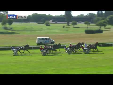 16.08.2020 (D24; G1; Tor: 2,5; 28°C)