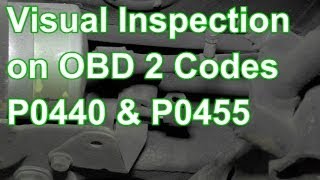 How to Diagnose Codes P0440 or P0455 Using Visual Inspection
