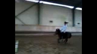 preview picture of video 'Centre equestre de vineuil'