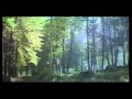 TERI KASAM 1982 Yeh Zameen Gara Hi Hai By Hamed Sanu