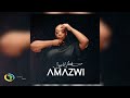 Skye Wanda - AMAZWI (Official Audio)