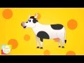 Animal Sounds Song