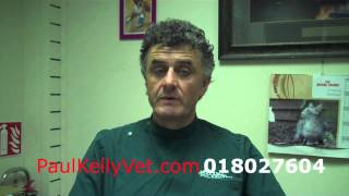 preview picture of video 'Spaying Pets Paul Kelly Veterinary Surgeon Ratoath'