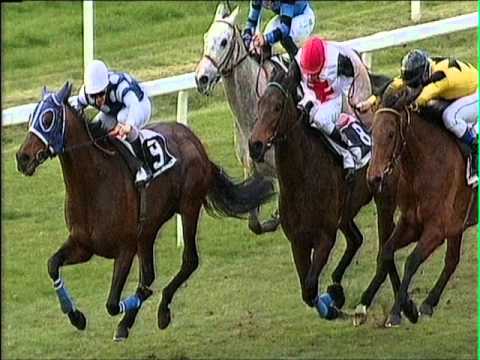 2016-03-06 corsa n6 m1200 XXV Premio Enrico Camici