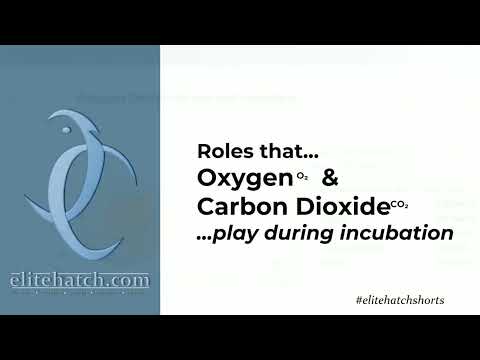 Oxygen & Carbon Dioxide Roles During Incubation