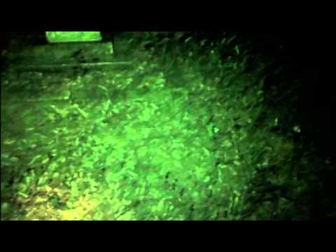 Shiloh Cemetery Video 1