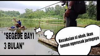 preview picture of video 'Kesaksian Si Abah, jaringnya Rusak di hajar ikan toman.'