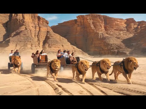 Craziest Races Around the World You Won’t Believe Exist!