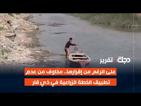 فيديو | على الرغم من إقرارها.. مخاوف من عدم تطبيق الخطة الزراعية في ذي قار