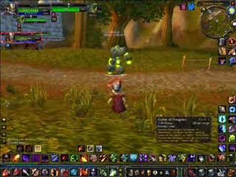 two warlocks massing around