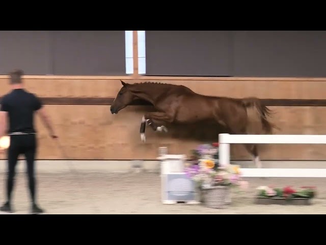 jumping