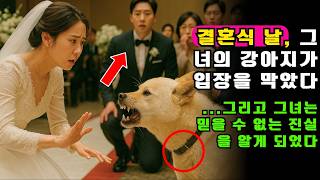 Download lagu 결혼식 날, 그녀의 강아지가 입장을 막았다… 그리고 그녀는 믿을 수 없는 진실을 알게 되었다ㅣ노년의 지혜ㅣ인생조언ㅣ오디오북ㅣ 삶의 지혜 mp3 Download lagu 결혼식 날, 그녀의 강아지가 입장을 막았다… 그리고 그녀는 믿을 수 없는 진실을 알게 되었다ㅣ노년의 지혜ㅣ인생조언ㅣ오디오북ㅣ 삶의 지혜 mp3