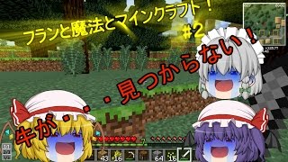 フランと魔法とマインクラフト！パート2