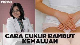 Download lagu Dokter 24 - Cara Cukur Rambut Kemaluan Yang Tepat mp3