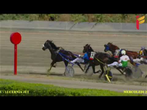 II Corsa del 29 giugno 2022 - 4 Anni - Metri 2000/2020