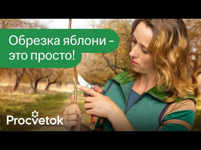 КАК ОБРЕЗАТЬ ЯБЛОНЮ ВЕСНОЙ? Детальная обрезка, которая будет понятна каждому!