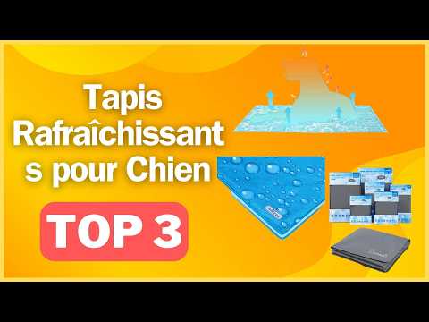 Tapis rafraîchissant chien : mon test des 3 meilleurs en 2024