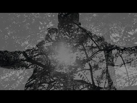 Shabazz Palaces - An Echo From the Hosts that Profess Infinitum [OFFICIAL VIDEO]