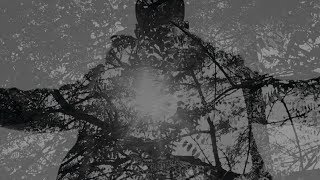 Shabazz Palaces - An Echo From The Hosts That Profess Infinitum [OFFICIAL VIDEO]