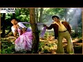 Vangamaaku Video Song Driver Ramudu Movie NTR Jayasudha Shalimarcinema