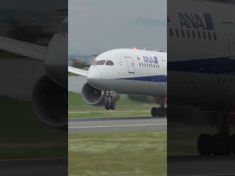 2023/06/11 ANA Boeing 787-8 Dreamliner landing at Osaka Int'l Airport (ITM/RJOO)#shorts