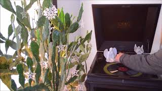 Chimes At Christmas Time with Godfrey Malcolm on Organ and Fredrico on Chimes