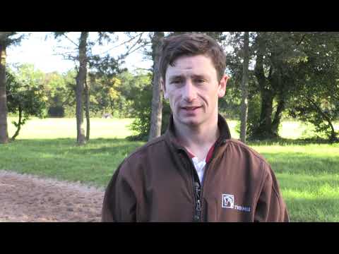 "She's the best middle-distance horse in Japan" - Oisin Murphy on Chrono Genesis's Arc chances