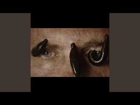 LEECH *or a tick* #mommatried #free2shanez (feat. TARXAN)