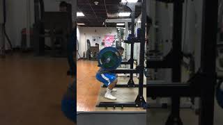 [問題] 深蹲請益