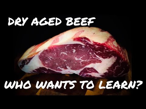 WHO WANTS TO LEARN? | Dry Aged Beef | La Famiglia...