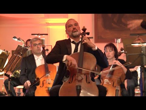 LVHF 2017: J. Haydn - Koncert pro violoncello, D-dur č. 2, Hob. VIIb: 2 (III. Allegro)