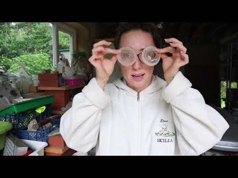 All About Paraloid B72 - Fossil Preparation Techniques