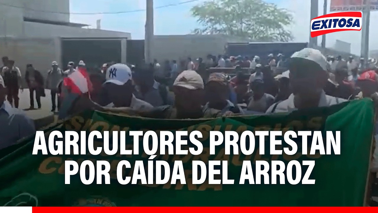 🔴🔵 Productores de Piura protestan por baja en precio del arroz