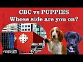 CBC vs PUPPIES: Whose side are you on?