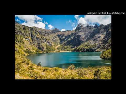 Nyampinga - DJ ZedBoy ft. Wiz Designer