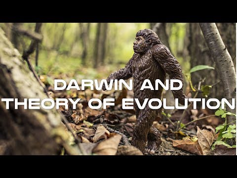 Darwin and the Theory of Evolution Documentary