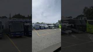 Download lagu STORY WA KATA KATA BUS 30 DETIK #shorts #fyp #storywabusmania #busmania #busmania mp3
