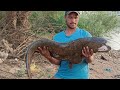 BIG MONSTER PATHAN FISH 12 KG Catfish Wallago Warriyo Mortals Feat Laura Brehm