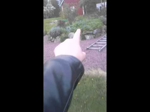 Min trädgård rundtur