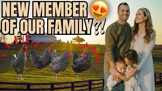 BUILDING OUR FAMILY FARM (WE GOT CHICKENS!) 🐓🤗👩🏻🌾🪺