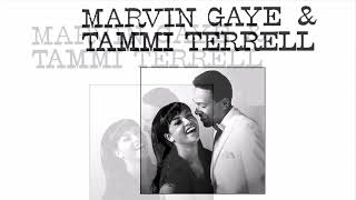 MARVIN GAYE &amp; TAMMI TERRELL  You Got What It Takes