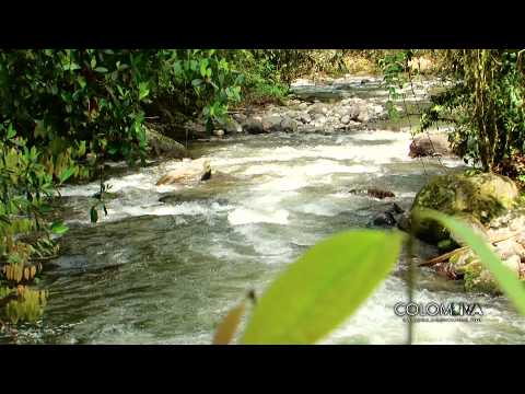 Colombiva Emisión del 28 de abril de 2013