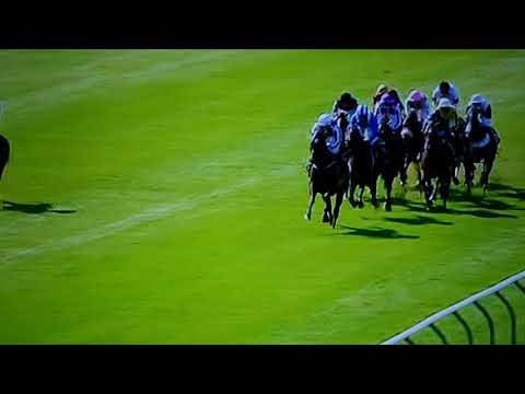 2018 Qipco 2000 Guineas Saxon Warrior