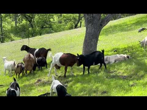 A Course in Miracles with Female Words Day 357 (December 23rd)