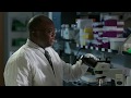 Malaria Microscopy A Step By Step Guide