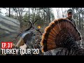 SPRING TURKEY HUNTING In MISSOURI Hard Gobbling Bird