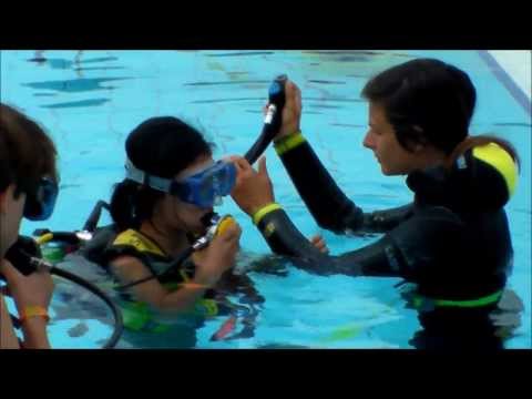 PADI Discover Scuba Diving in Marina di Venezia, Punta Sabbioni, Cavallino-Treporti, Venezia