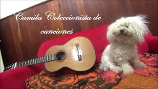 Camila Coleccionista de canciones cover guitarra fingerstyle